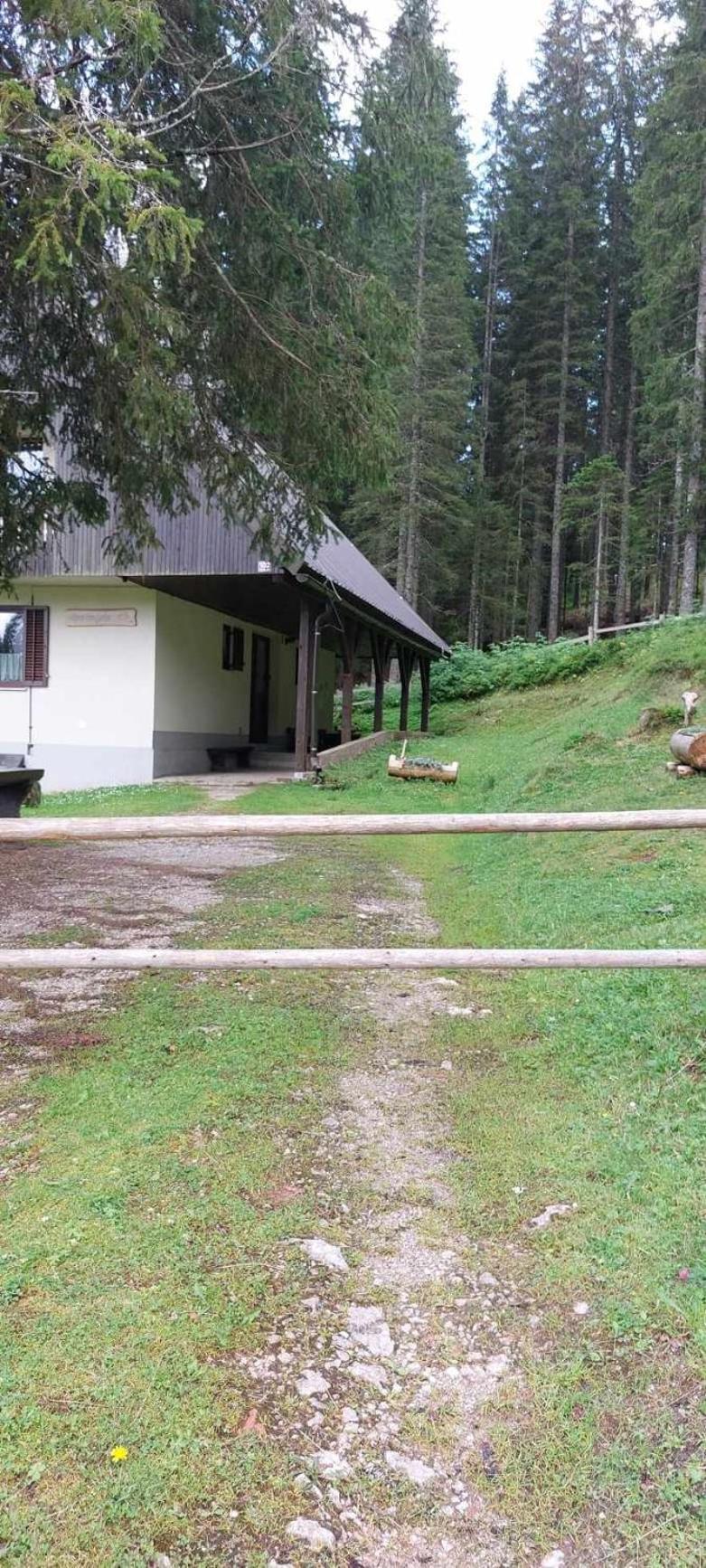 Apartma Anja 지고르니예 고르예 외부 사진